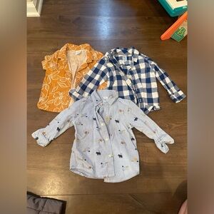 Carter's Blue and Orange Kids Button Down Shirts